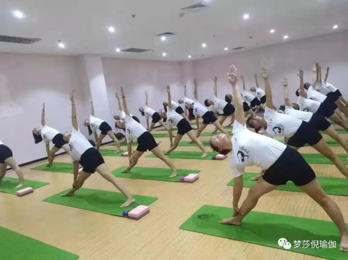 梦莎倪瑜伽 第104届教培班潍坊印象汇店招生啦